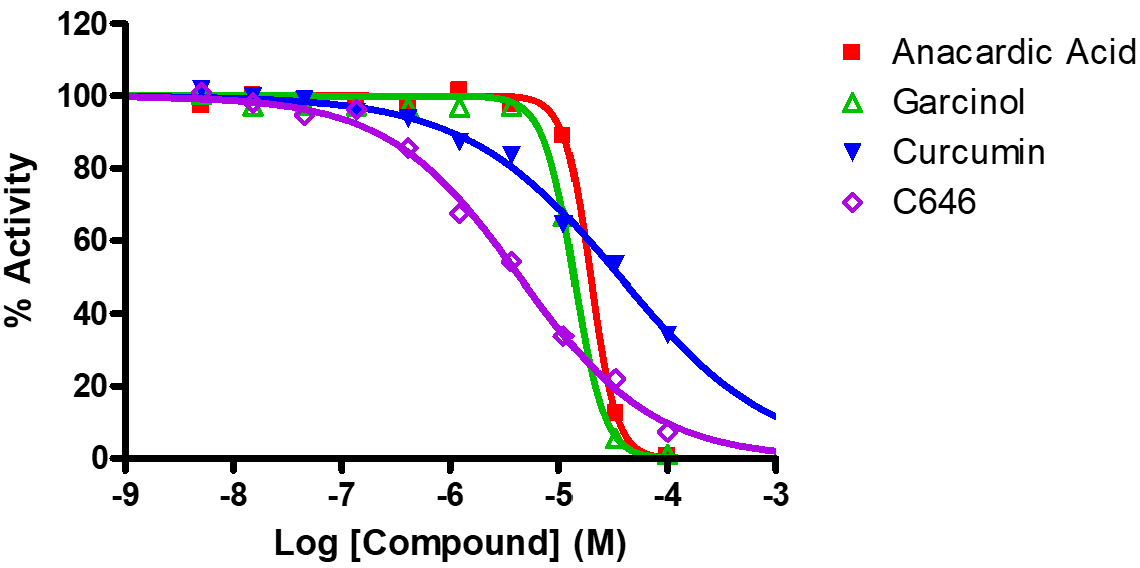 Reference Compound IC50 for CBP