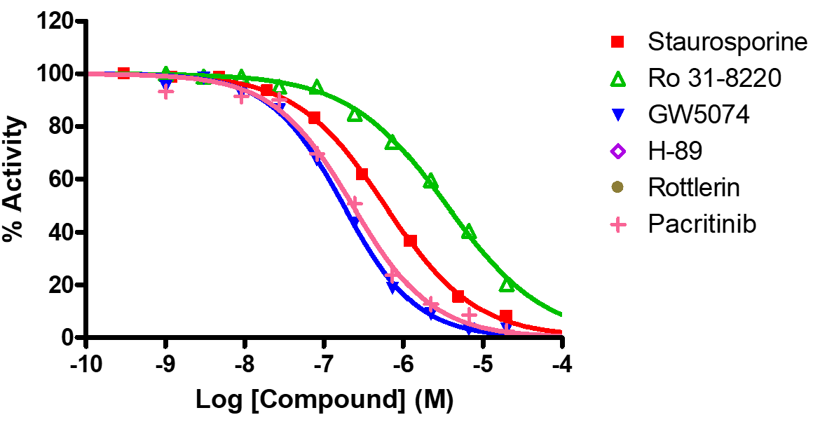 Reference compound IC50 for CK2a2