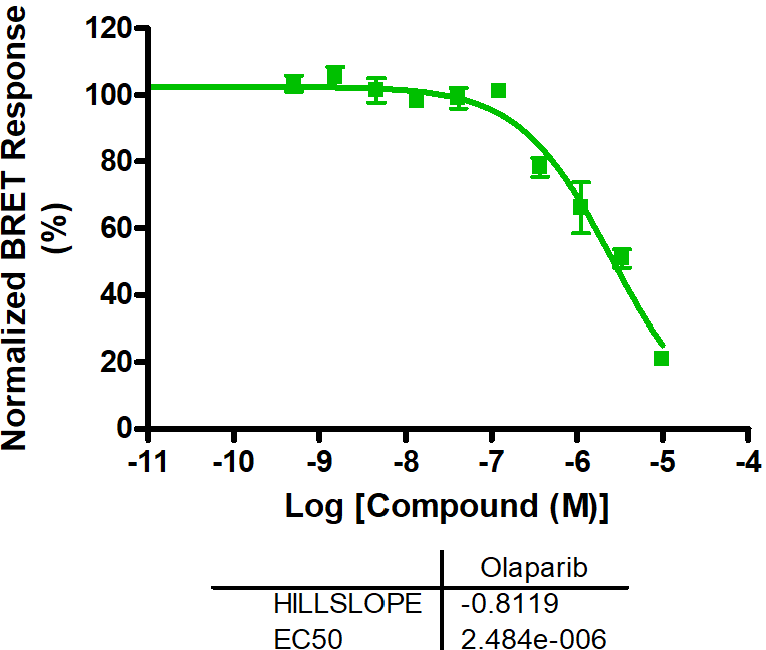 Reference compound IC50 for PARP11