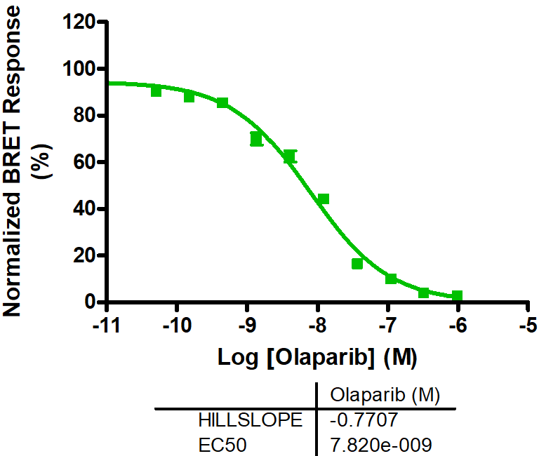 Reference compound IC50 for PARP1