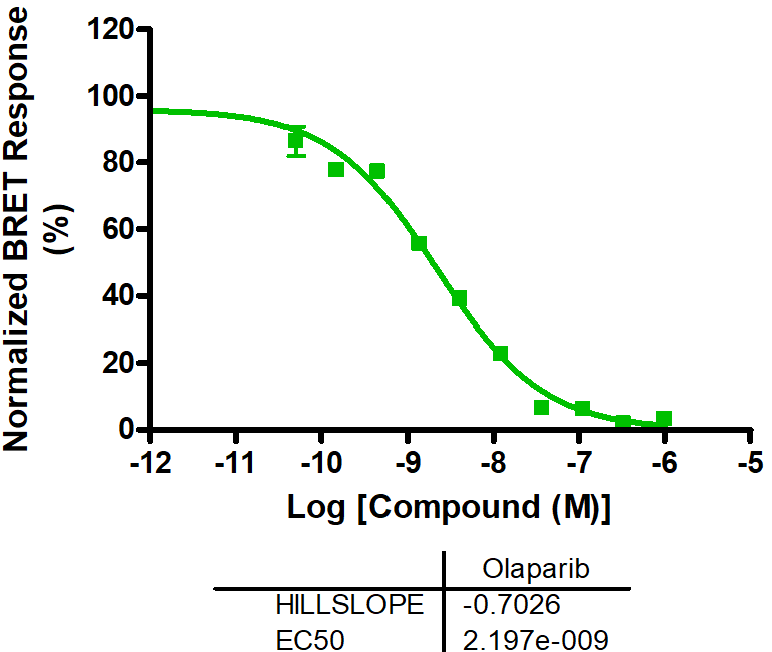 Reference compound IC50 for PARP2