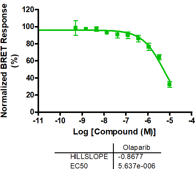 Reference compound IC50 for PARP5A