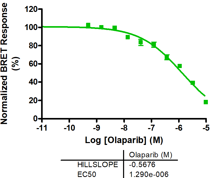 Reference compound IC50 for PARP5B