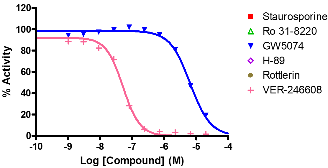 Reference compound IC50 for PDK2/PDHK2