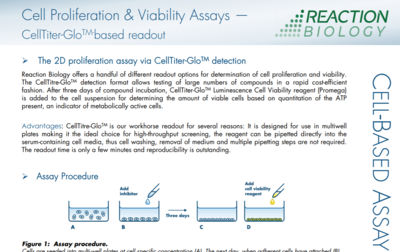 Cell Proliferation Assay Service | Reaction Biology