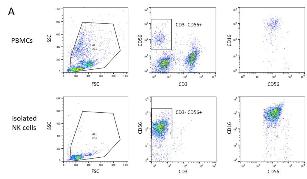 NK Cell Killing Assays | Reaction Biology