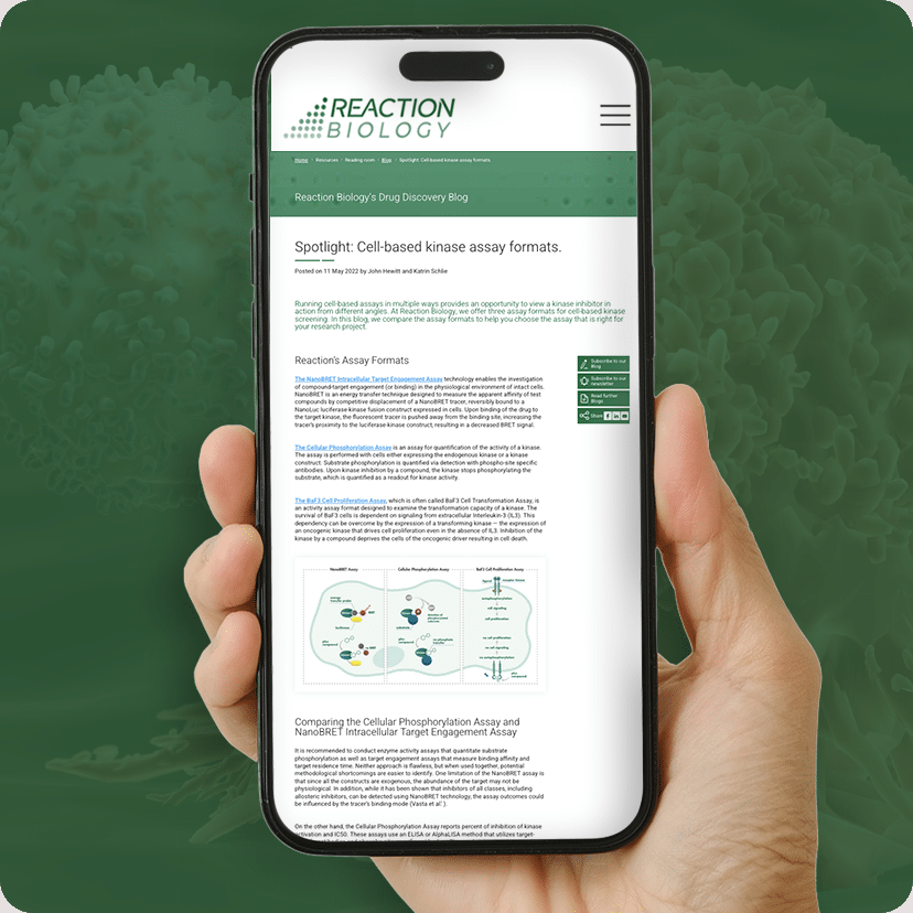 Which Cell-Based Assay is Right for You?