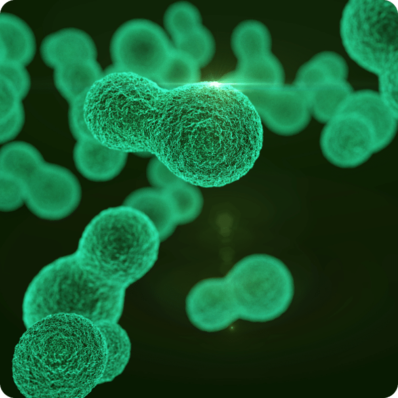 BaF3 Cell Proliferation Assay