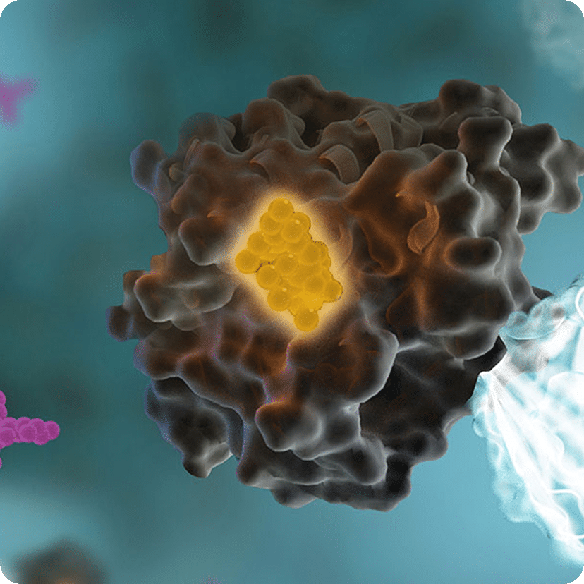 NanoBRET™ Intracellular CDK Panel Screen