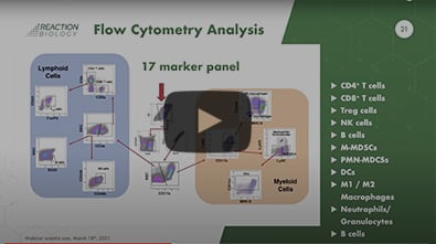 <span>ON-DEMAND WEBINAR</span><br />Listen to our experts explain SubQperior™ Technology