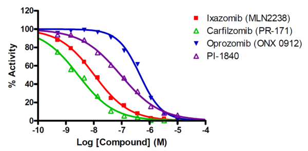 20S proteasome reference compounds