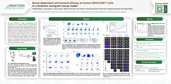 Donor-dependent anti-tumoral efficacy of human CD19 CAR T cells in a leukemic xenograft mouse model