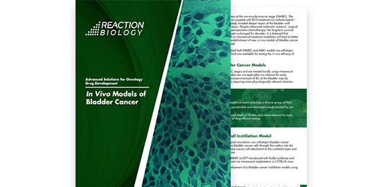 In Vivo Models of Bladder Cancer