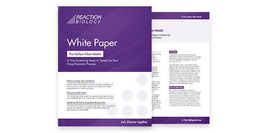 The Hollow Fiber Model: In Vivo Screening Assay to Speed Up Your Drug Discovery Process