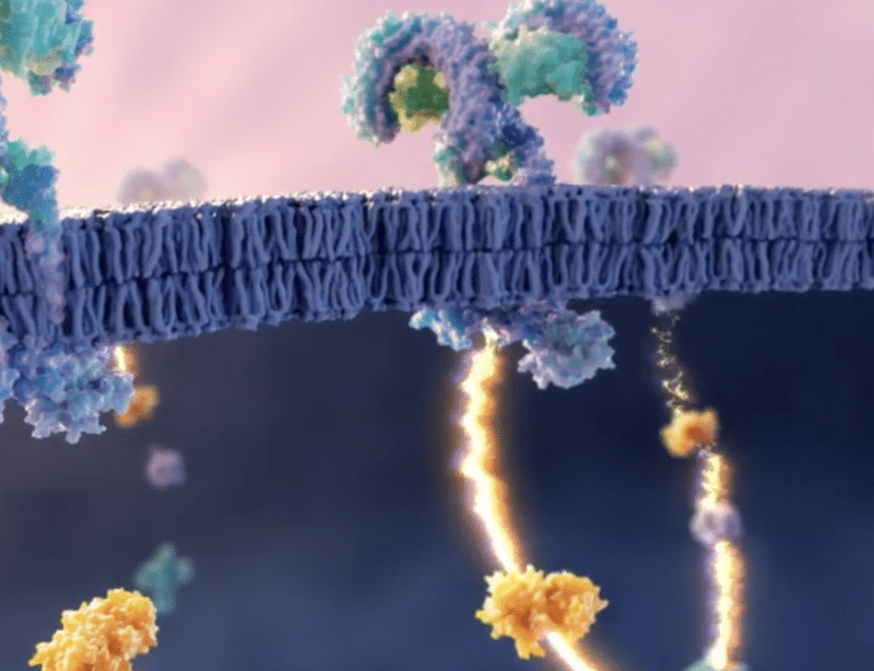 Spotlight: Activity-Based Kinase Assay Formats