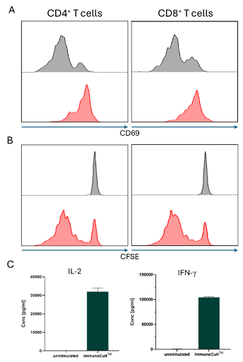 T Cell Subsets